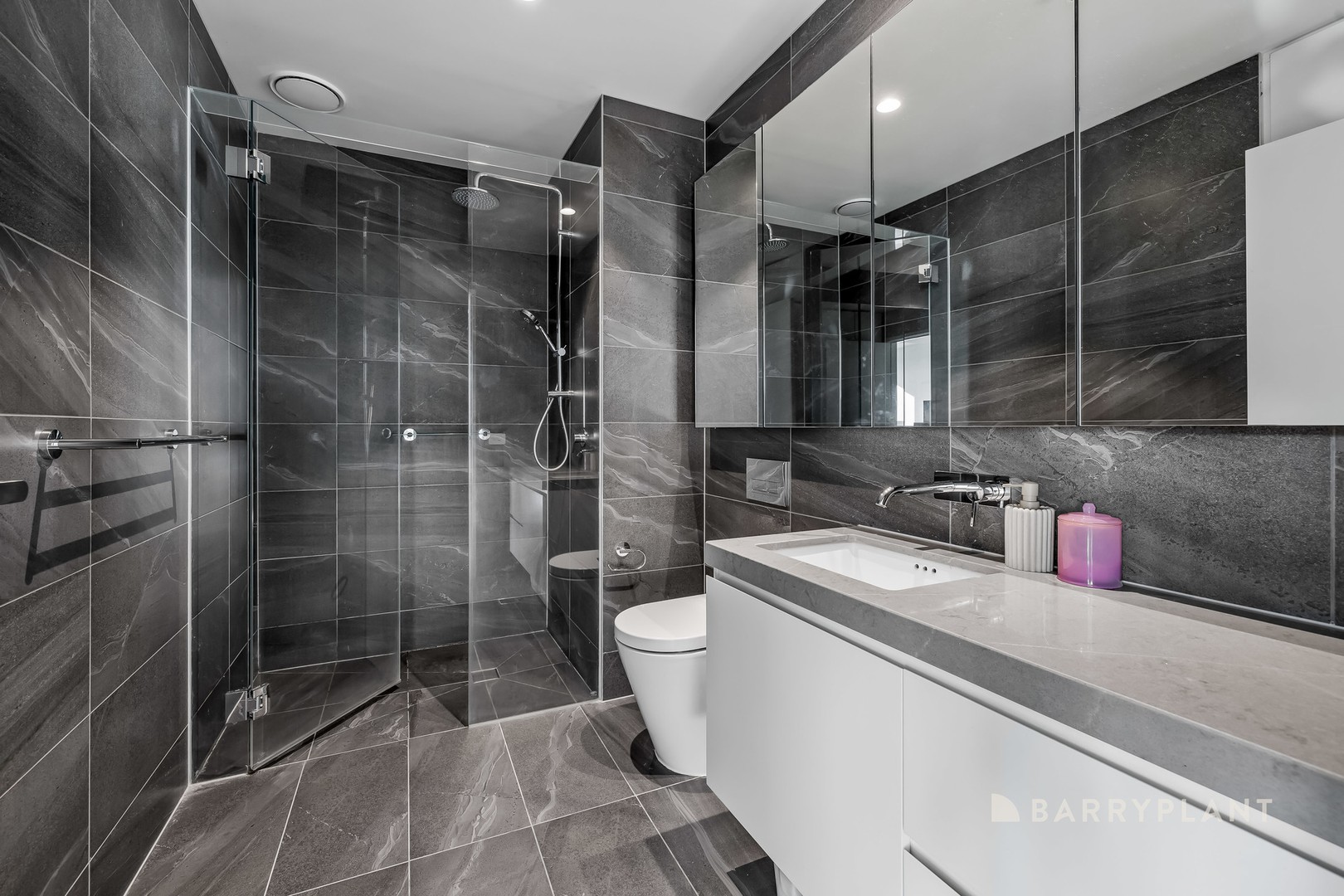 505/101 Parkview Road, Alphington, VIC 3078, Alphington - Thumbnail 4