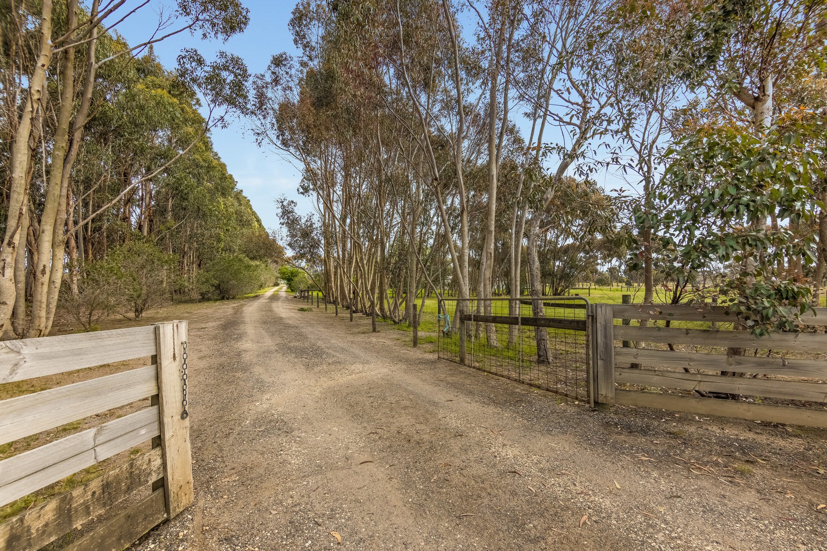 505 Cape Otway RoadMoriac, VIC 3240, Moriac - Thumbnail 4