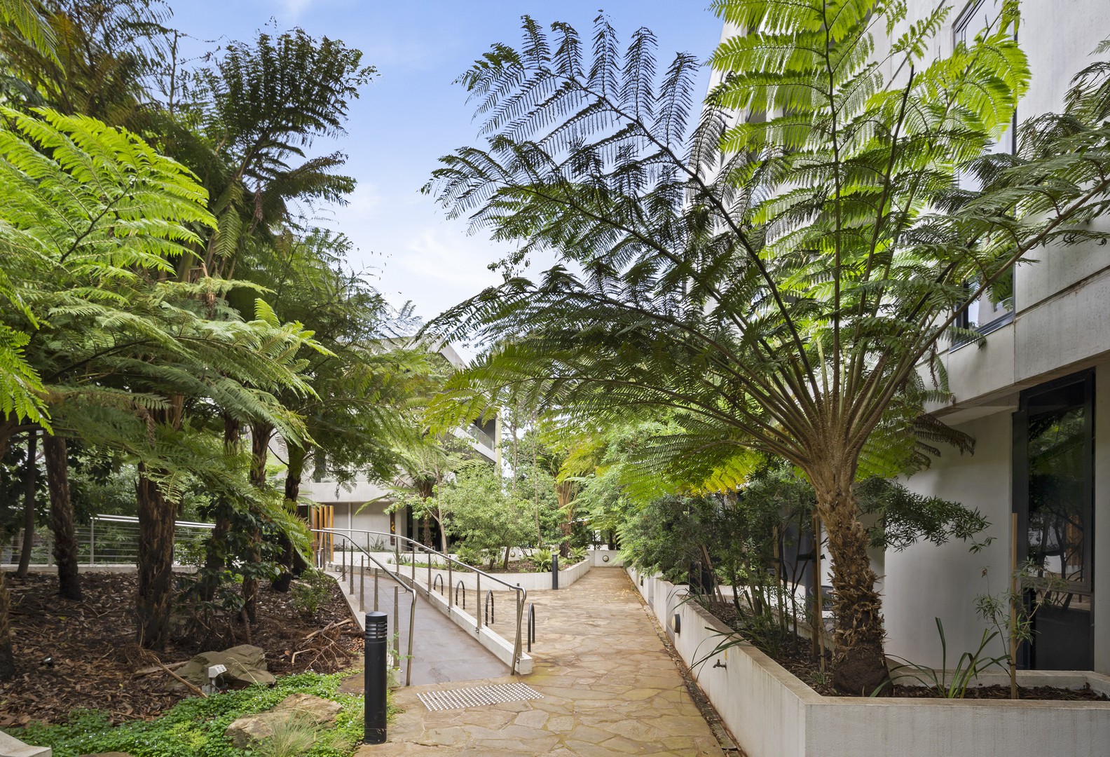 505A/1-19 Colombo Street, Mitcham, VIC 3132, Mitcham - Thumbnail 8
