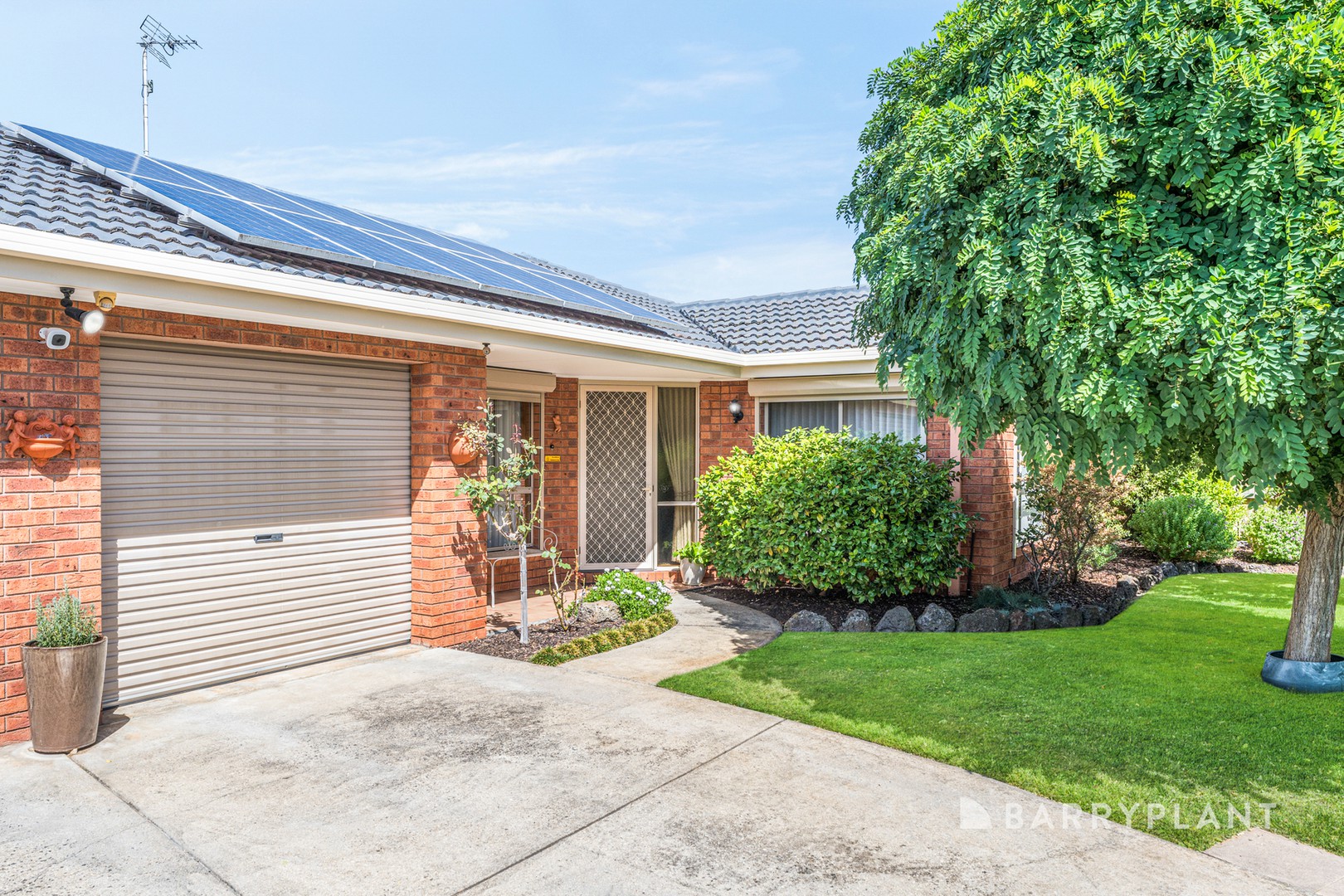51 Greenville Drive, Grovedale, VIC 3216, Grovedale - Thumbnail 3