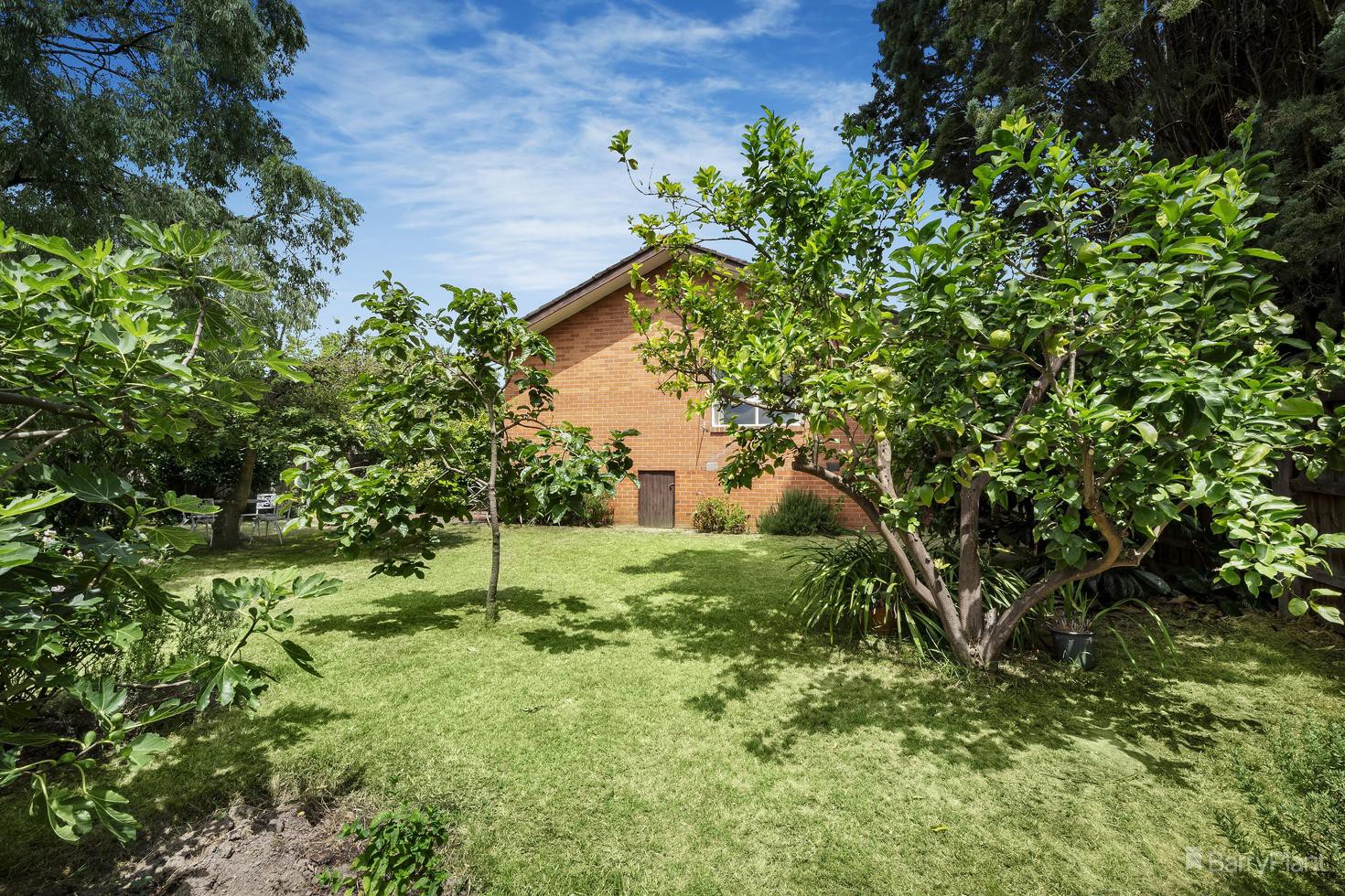 51 Mckenzie Street, Doncaster East, VIC 3109, Doncaster East - Thumbnail 7