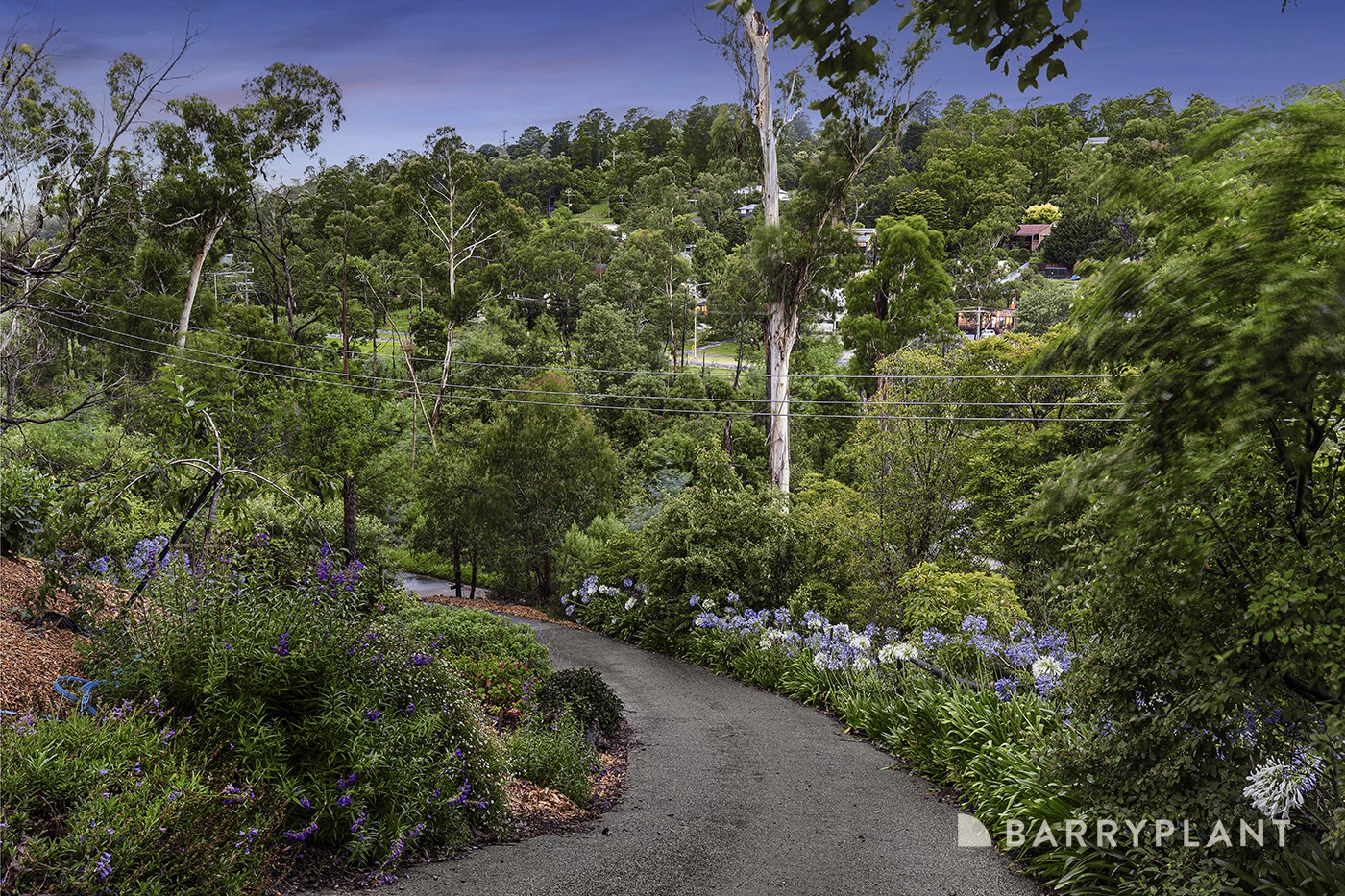 54 Charles Road, Lilydale, VIC 3140 - Thumbnail 2 - 11/01/2024
