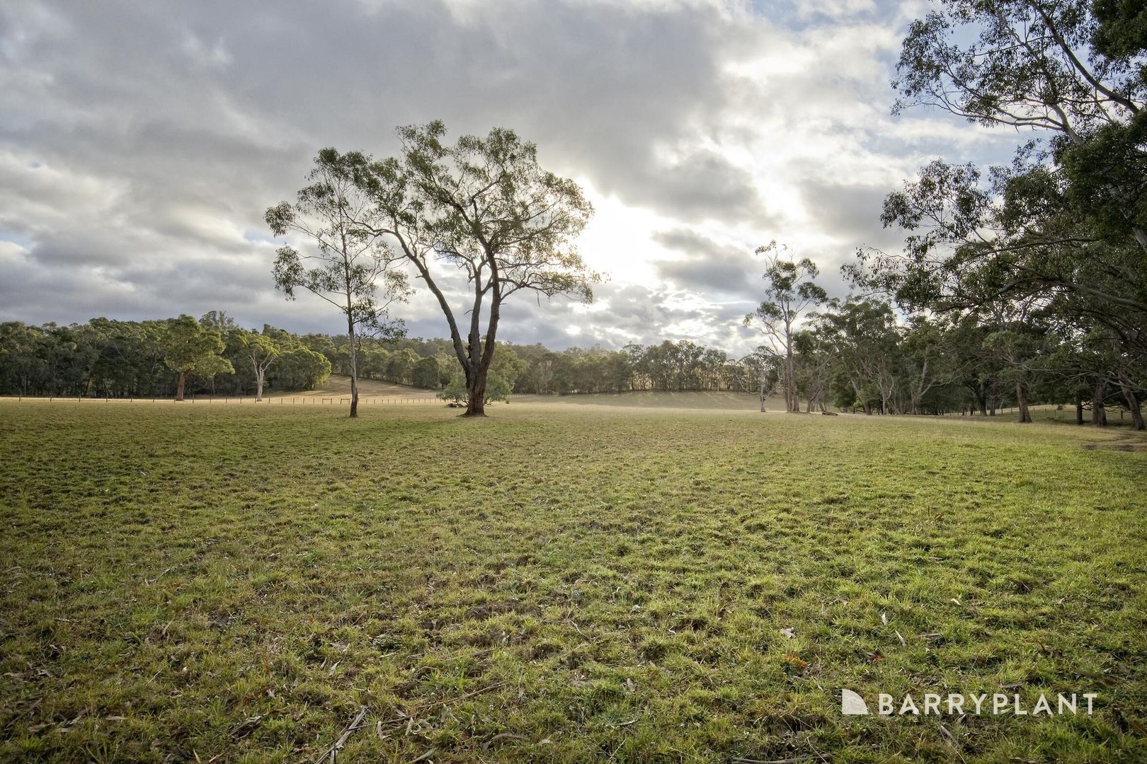 54 Jardine Road, Macclesfield, VIC 3782, Macclesfield - Thumbnail 2