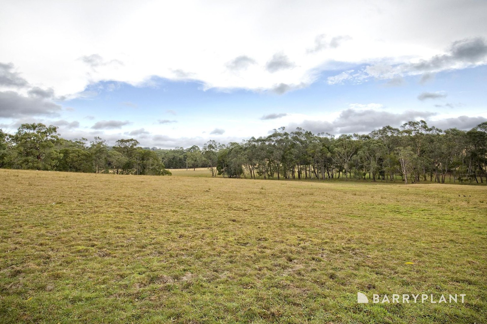 54 Jardine Road, Macclesfield, VIC 3782, Macclesfield - Thumbnail 3