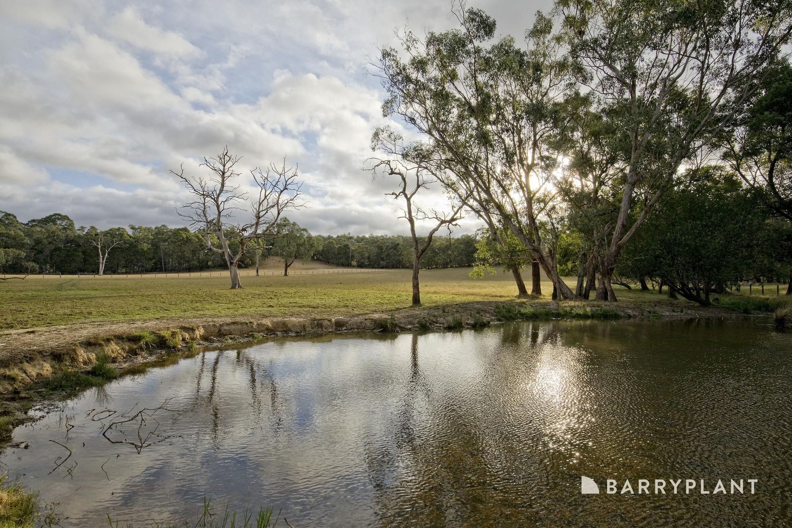 54 Jardine Road, Macclesfield, VIC 3782, Macclesfield - Thumbnail 4