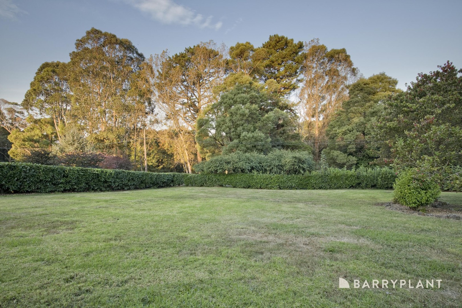 55 Beaconsfield-Emerald Road, Emerald, VIC 3782, Emerald - Thumbnail 2