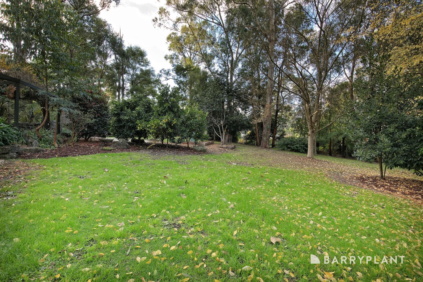 55 Bird Road, Avonsleigh, VIC 3782, Avonsleigh - Thumbnail 6