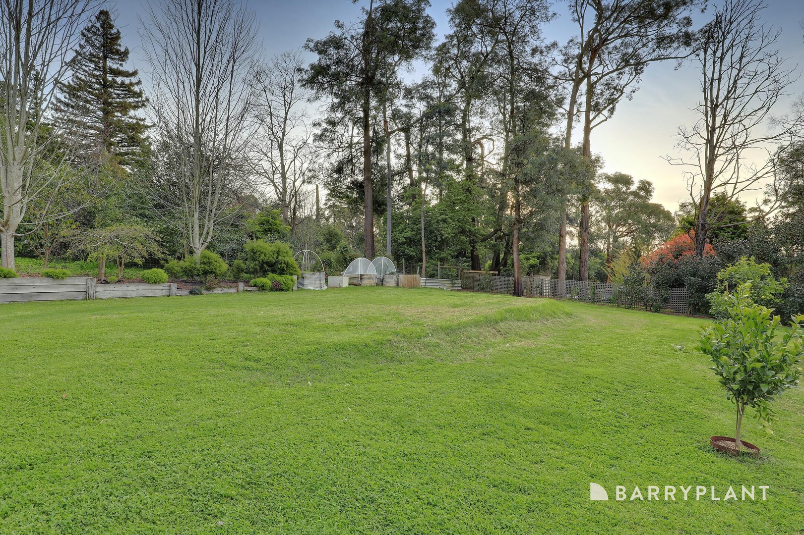 55 Emerald Monbulk Road, Emerald, VIC 3782, Emerald - Thumbnail 2