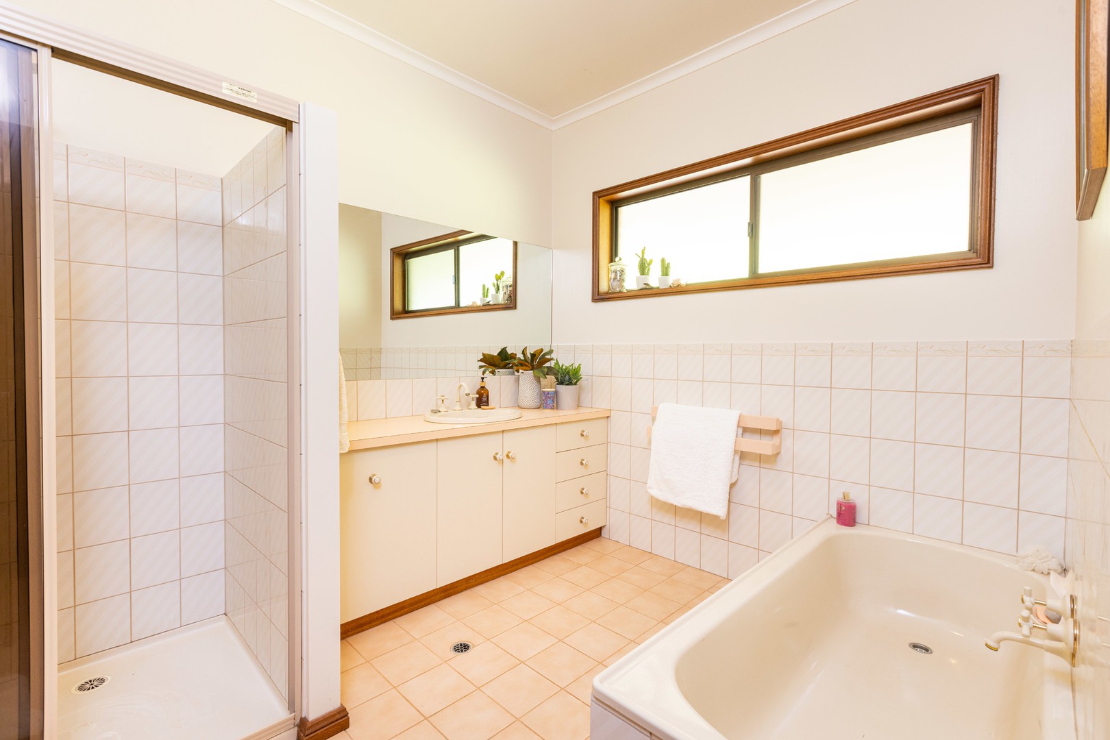 57 Fitzroy Avenue, Red Cliffs, VIC 3496, Red Cliffs - Thumbnail 7