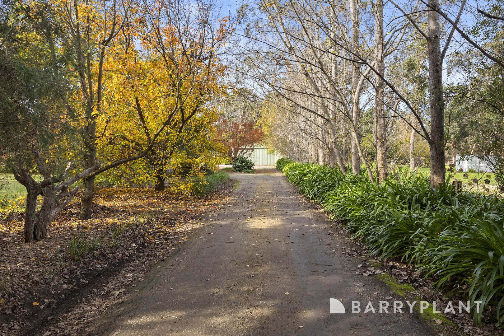 57 Walters Road, Nyora, VIC 3987, Nyora - Thumbnail 2