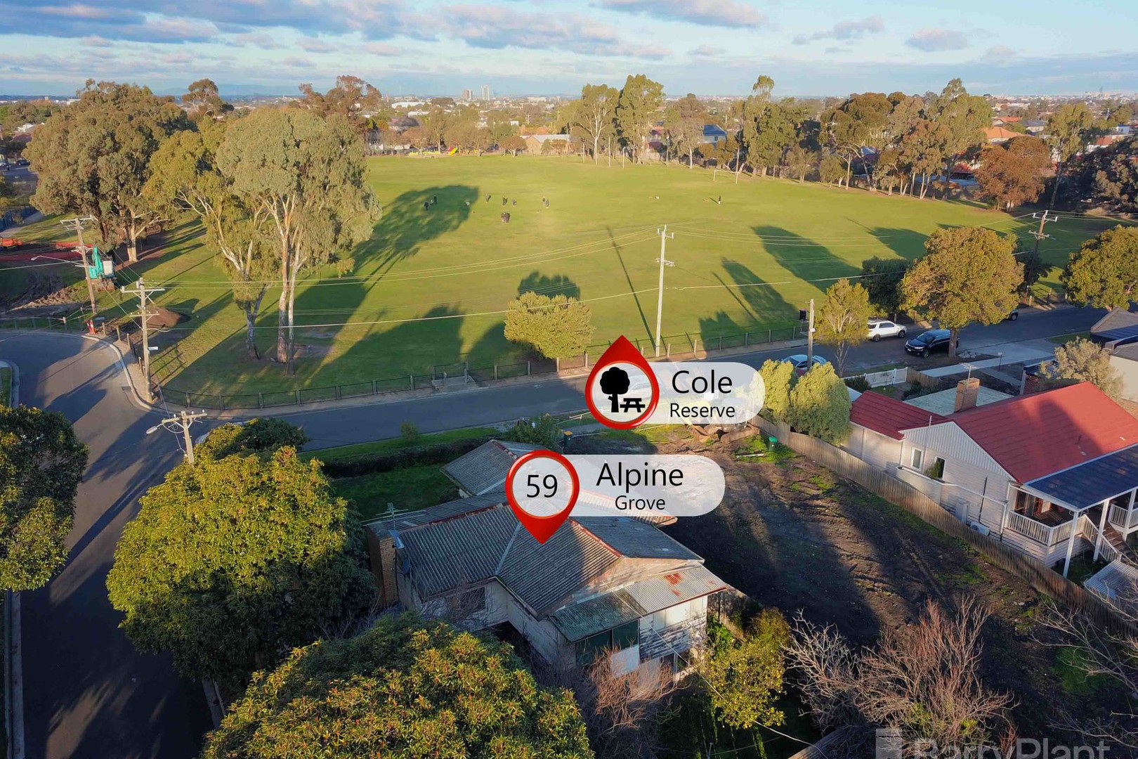 59 Alpine Grove, Pascoe Vale, VIC 3044, Pascoe Vale - Thumbnail 3