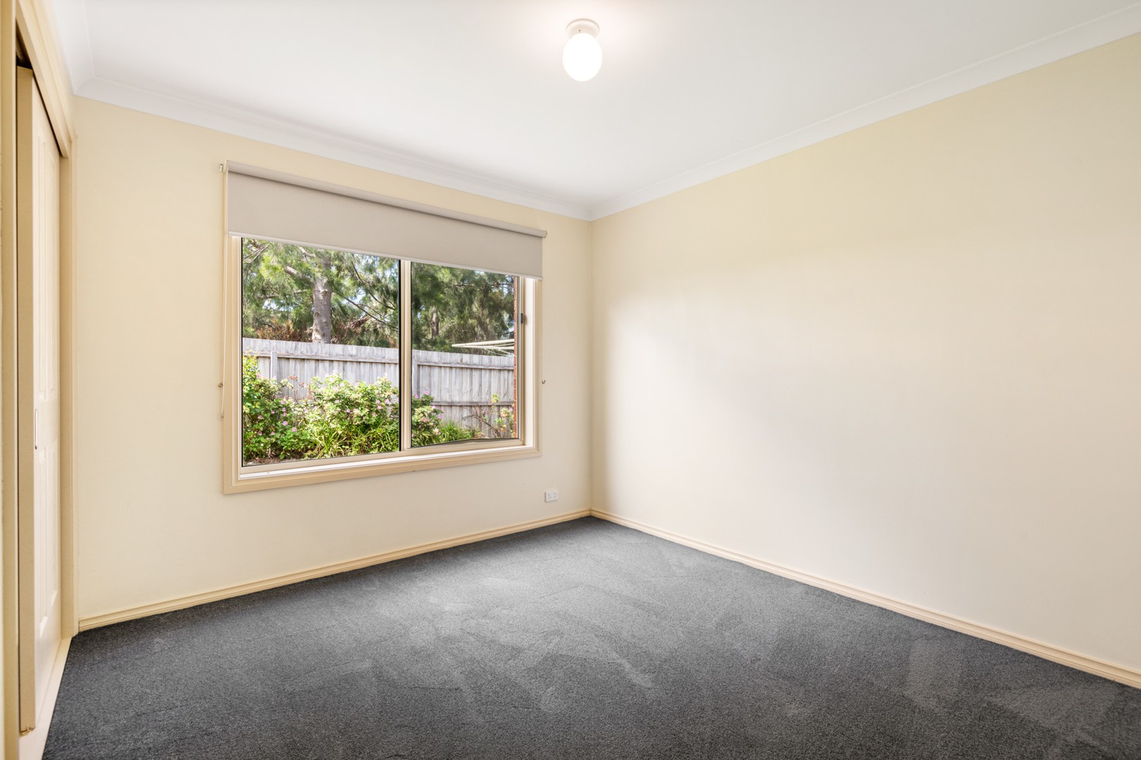 59 Broughton Drive, Highton, VIC 3216, Highton - Thumbnail 8
