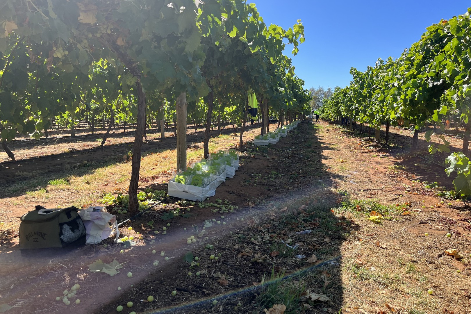 59 Chanters Lane, Trentham Cliffs, NSW 2738 - Thumbnail 1 - 06/07/2022