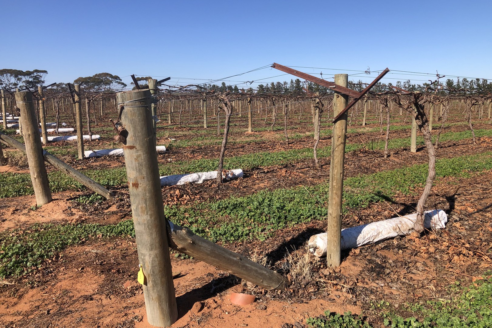 59 Chanters Lane, Trentham Cliffs, NSW 2738 - Thumbnail 2 - 06/07/2022