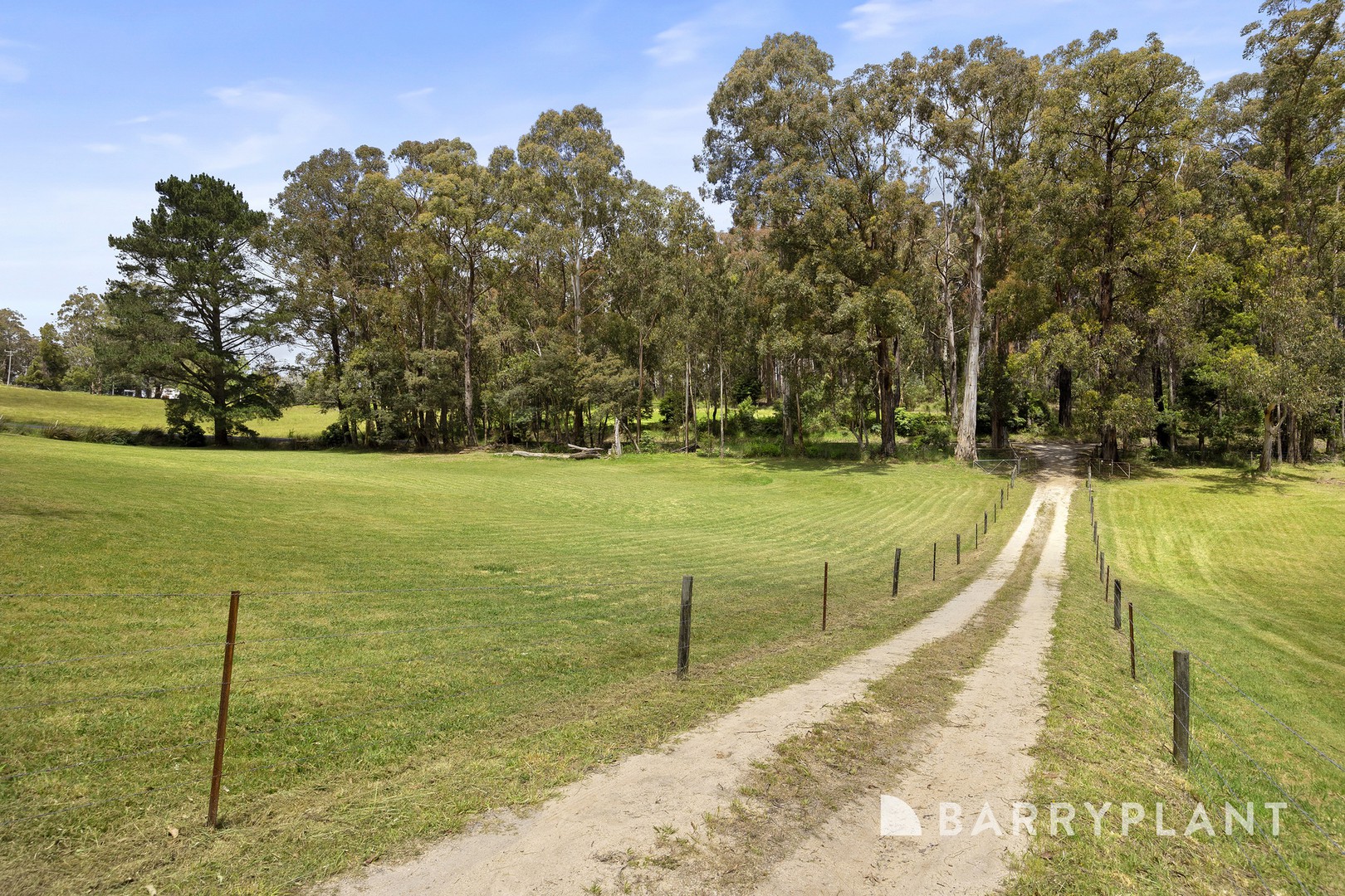 595 Budgeree Road, Budgeree, VIC 3870 - Thumbnail 2 - 10/12/2025