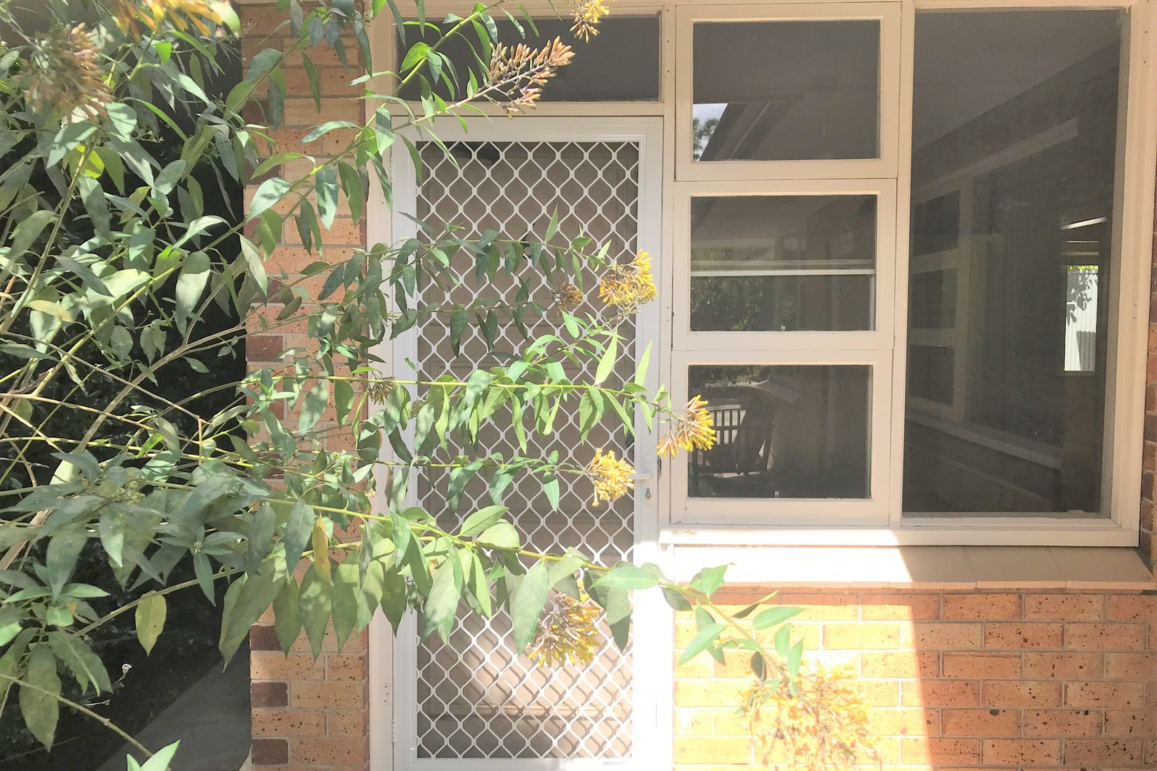 6/24 Cudmore AvenueToorak Gardens, SA 5065  - Leased, Toorak Gardens - Thumbnail 2