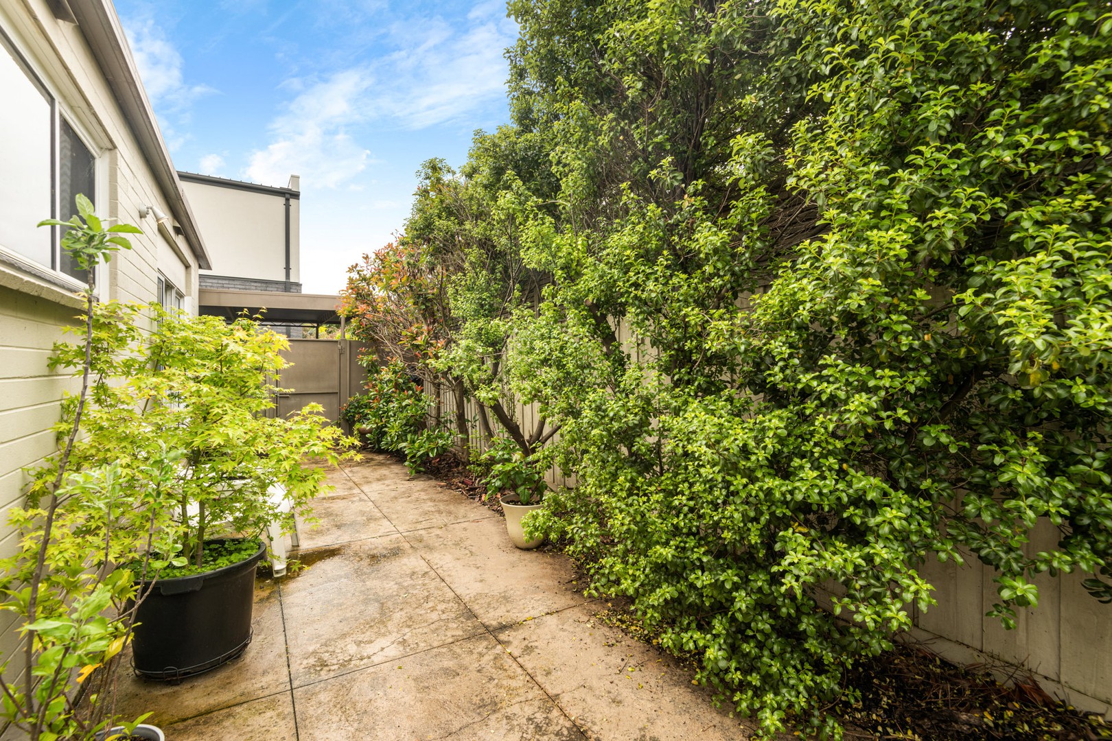 6/29 Knight Avenue, Herne Hill, VIC 3218, Herne Hill - Thumbnail 6