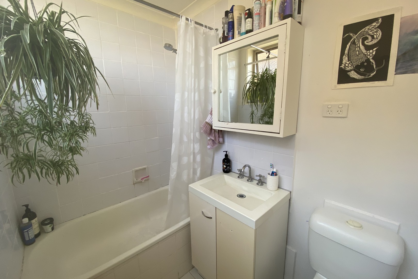6/378 Albert Street, Brunswick, VIC 3056, Brunswick - Thumbnail 7