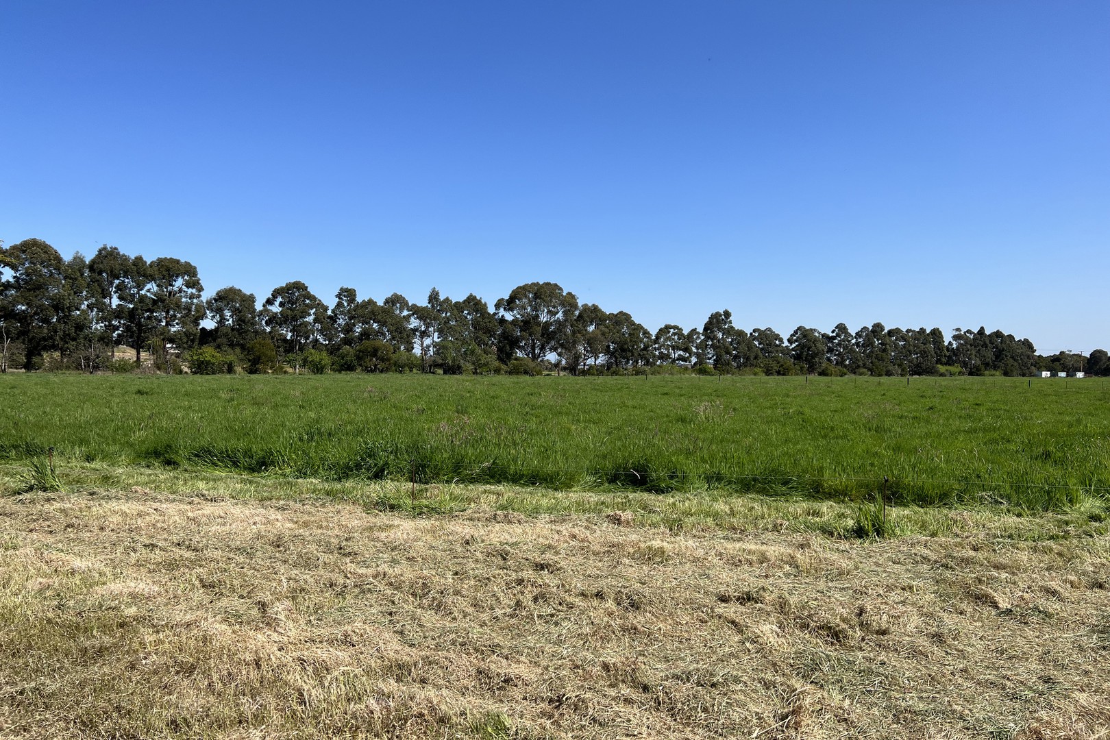 6 Alida Court, Ferntree Gully, VIC 3156, Ferntree Gully - Thumbnail 4