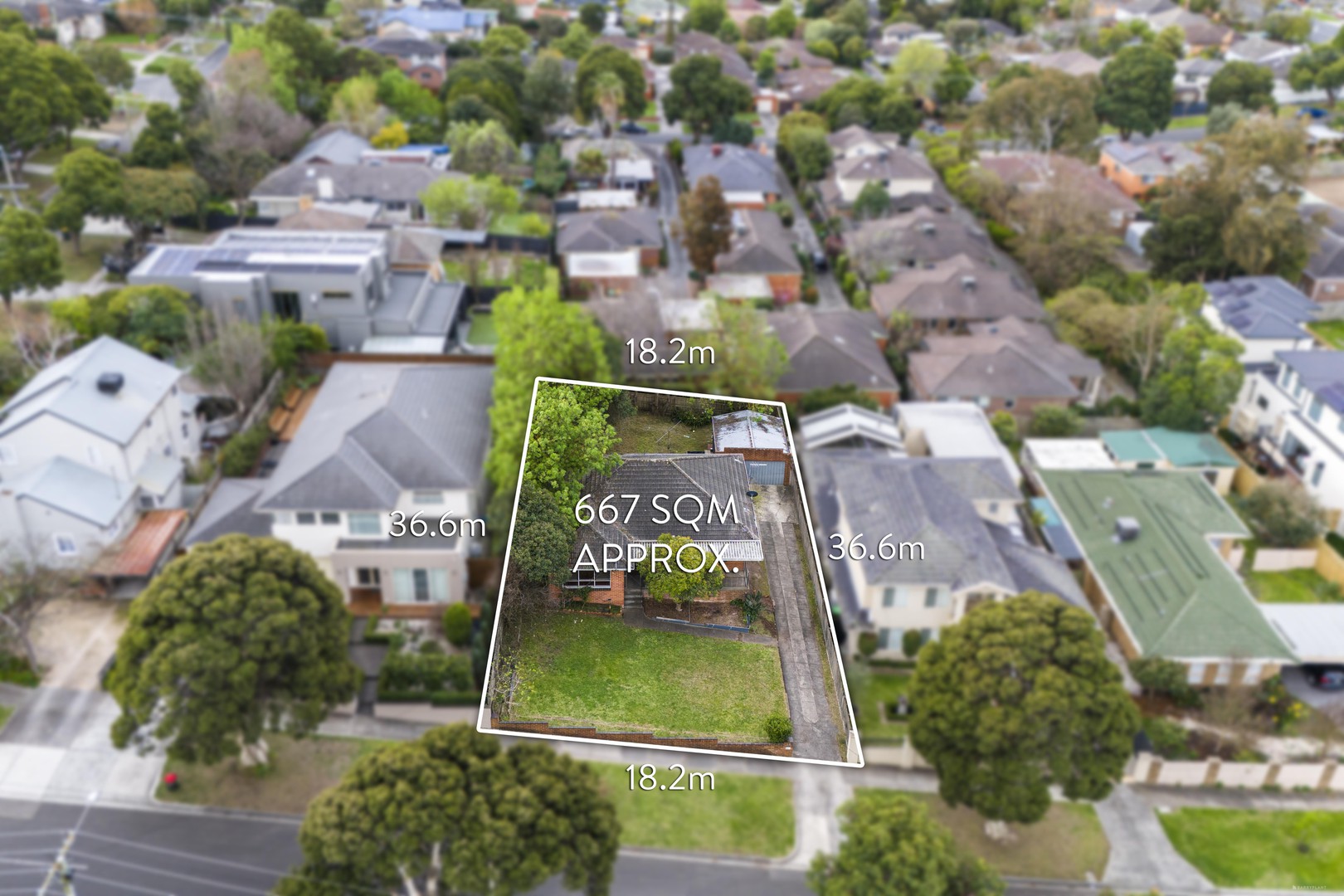 6 Allison Road, Mont Albert North, VIC 3129, Mont Albert North - Thumbnail 7