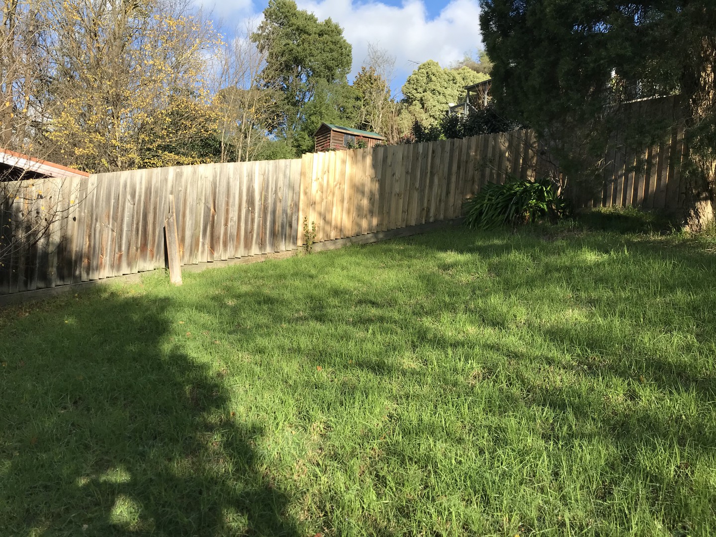 6 Badger Creek Road, Healesville, VIC 3777, Healesville - Thumbnail 6