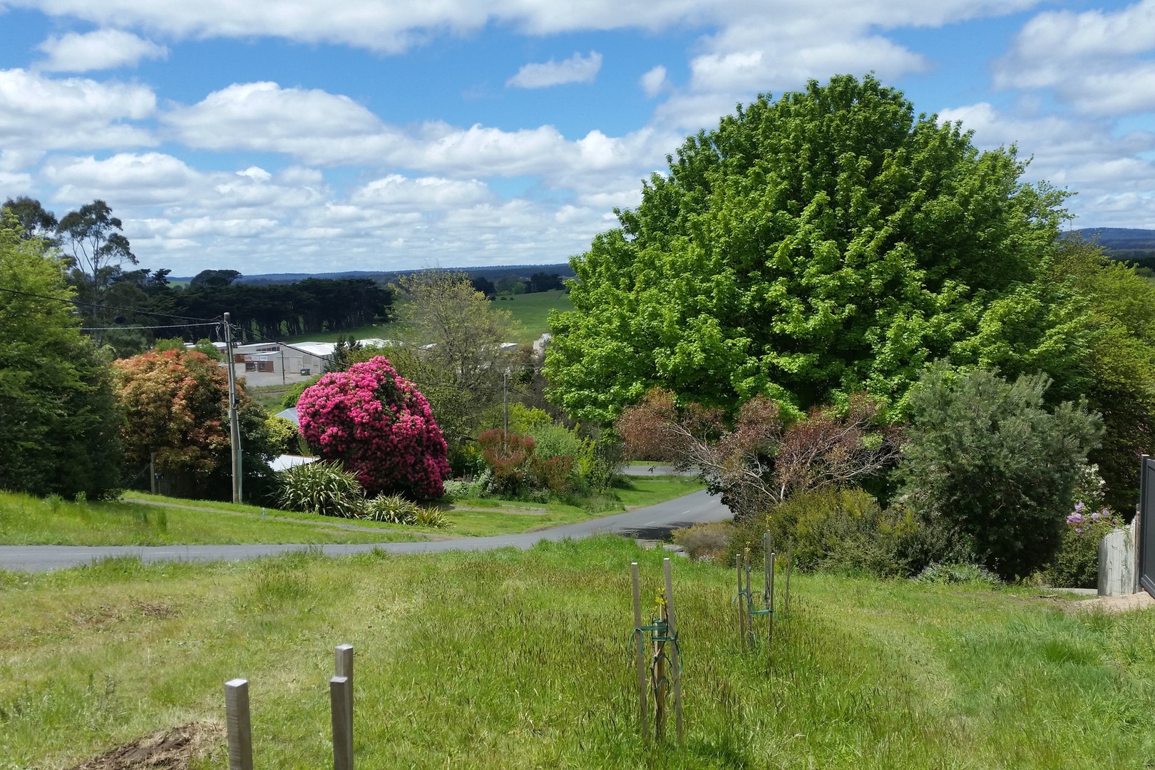 6 Central Springs Road, Daylesford, VIC 3460, Daylesford - Thumbnail 8