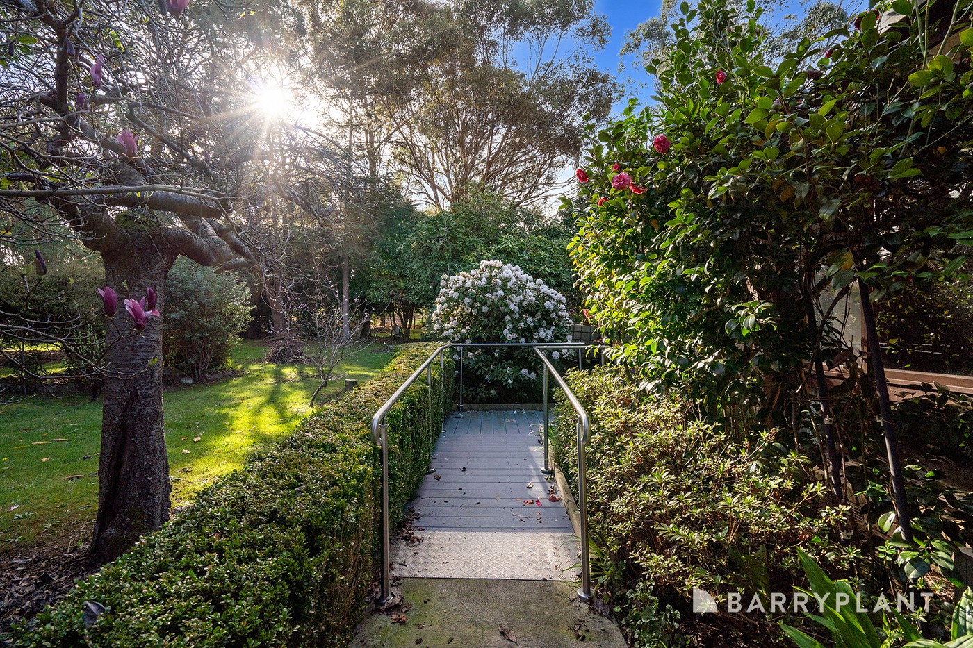 6 Cormilio Drive, Wandin North, VIC 3139, Wandin North - Thumbnail 2