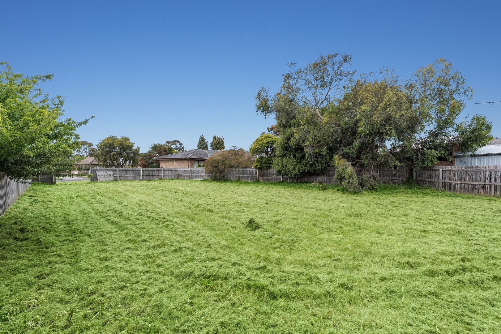 6 Cranmere AvenueBelmont, VIC 3216, Belmont - Thumbnail 3