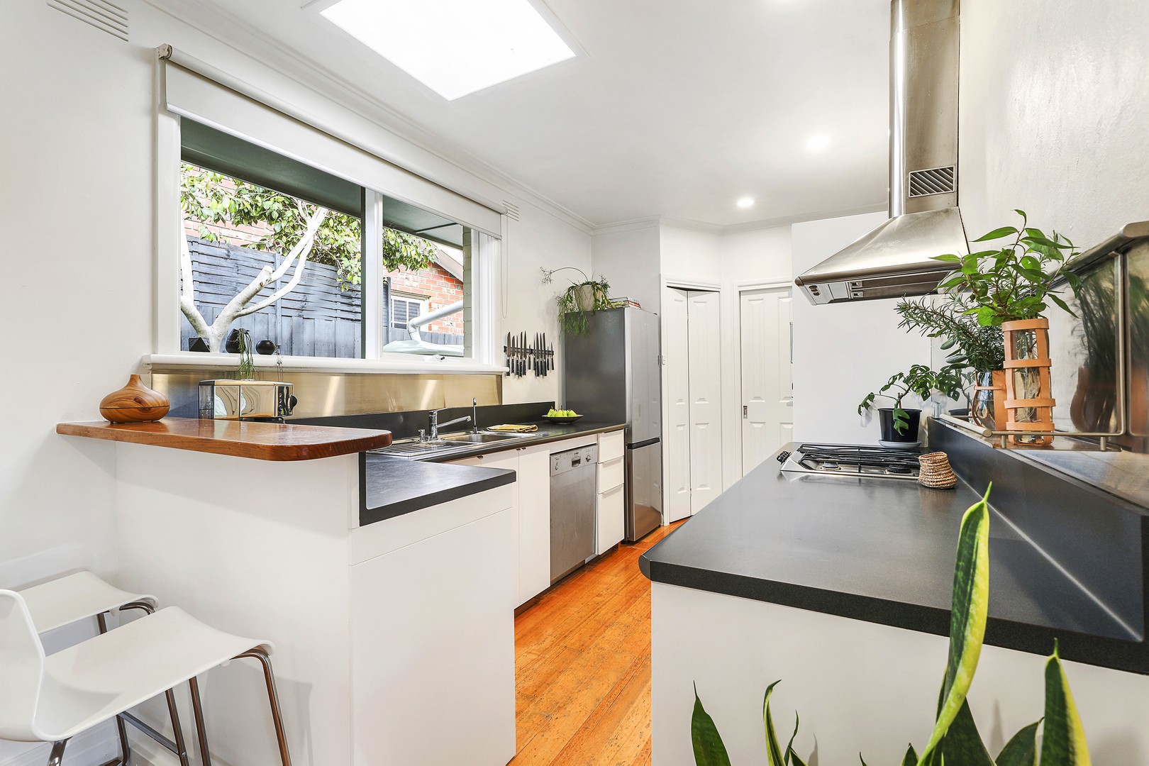 6 Florida Avenue, Dingley Village, VIC 3172, Dingley Village - Thumbnail 3