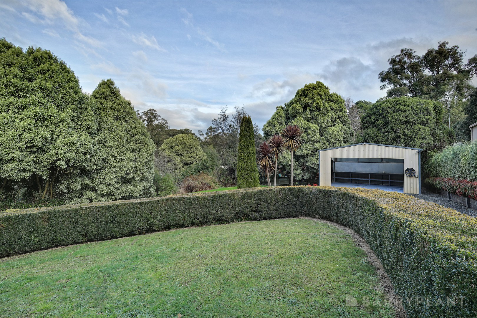 6 Marcelle Street, Cockatoo, VIC 3781, Cockatoo - Thumbnail 6