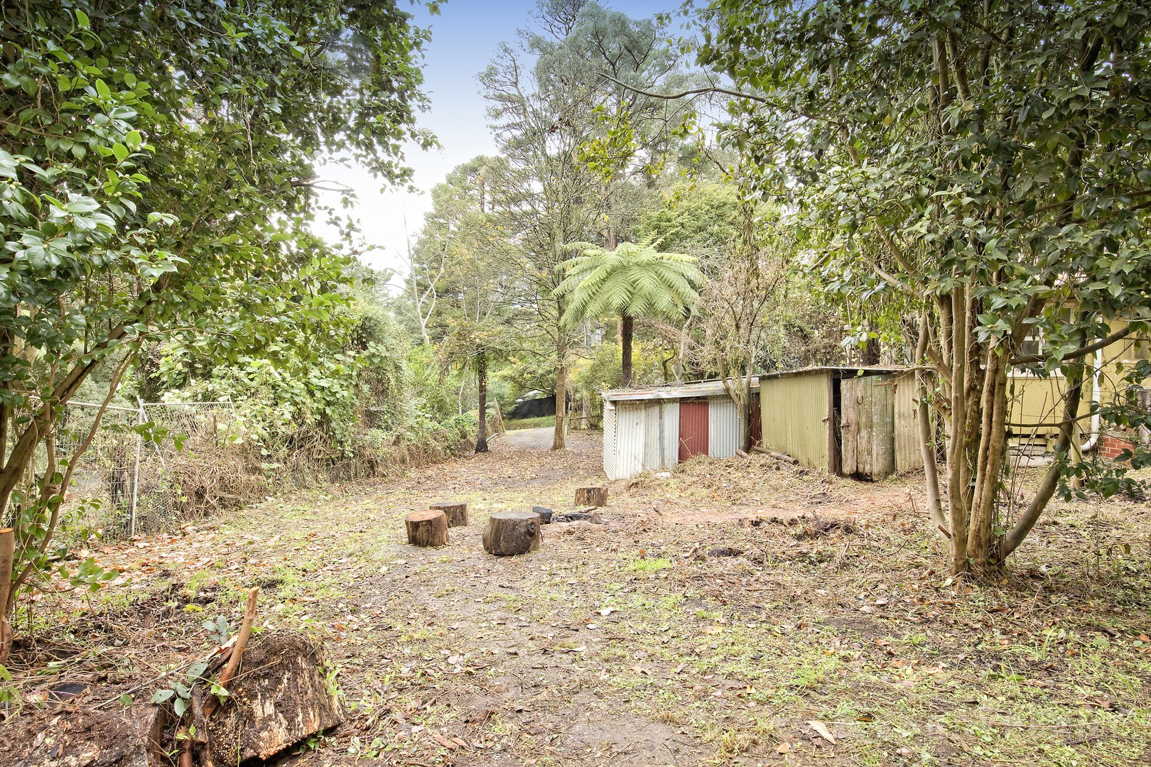 6 Maurice Street, Cockatoo, VIC 3781, Cockatoo - Thumbnail 3