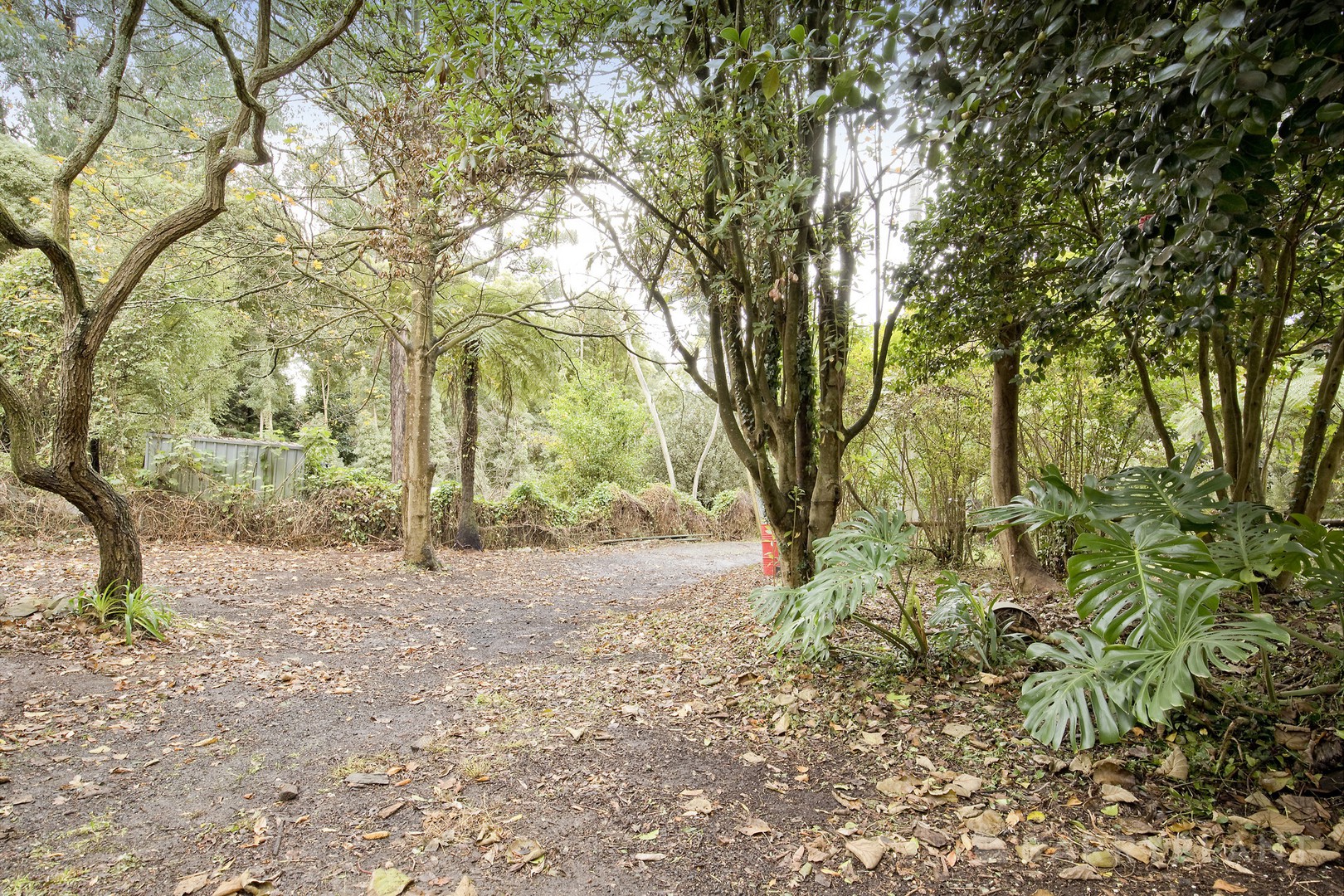 6 Maurice Street, Cockatoo, VIC 3781, Cockatoo - Thumbnail 4