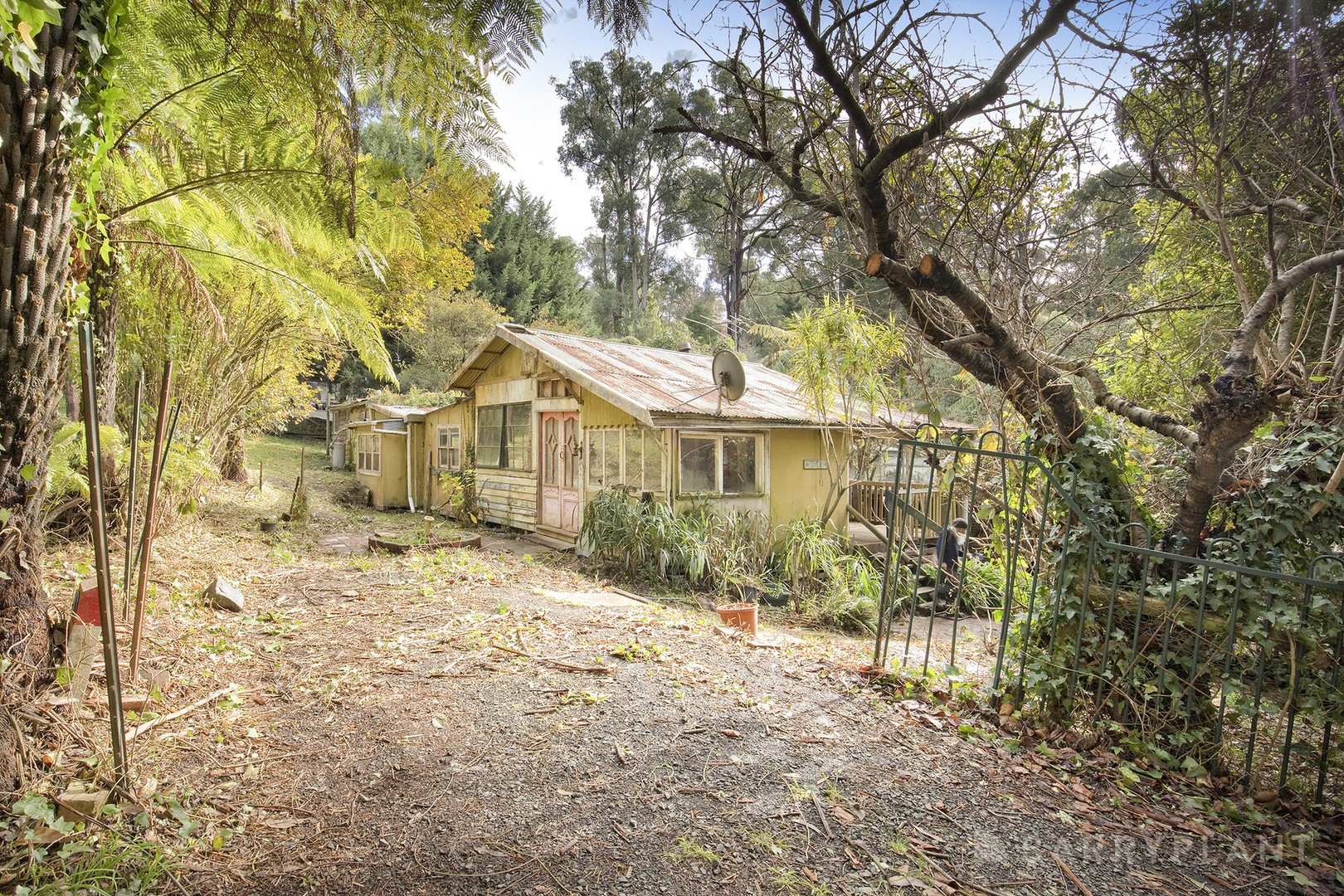 6 Maurice Street, Cockatoo, VIC 3781, Cockatoo - Thumbnail 5