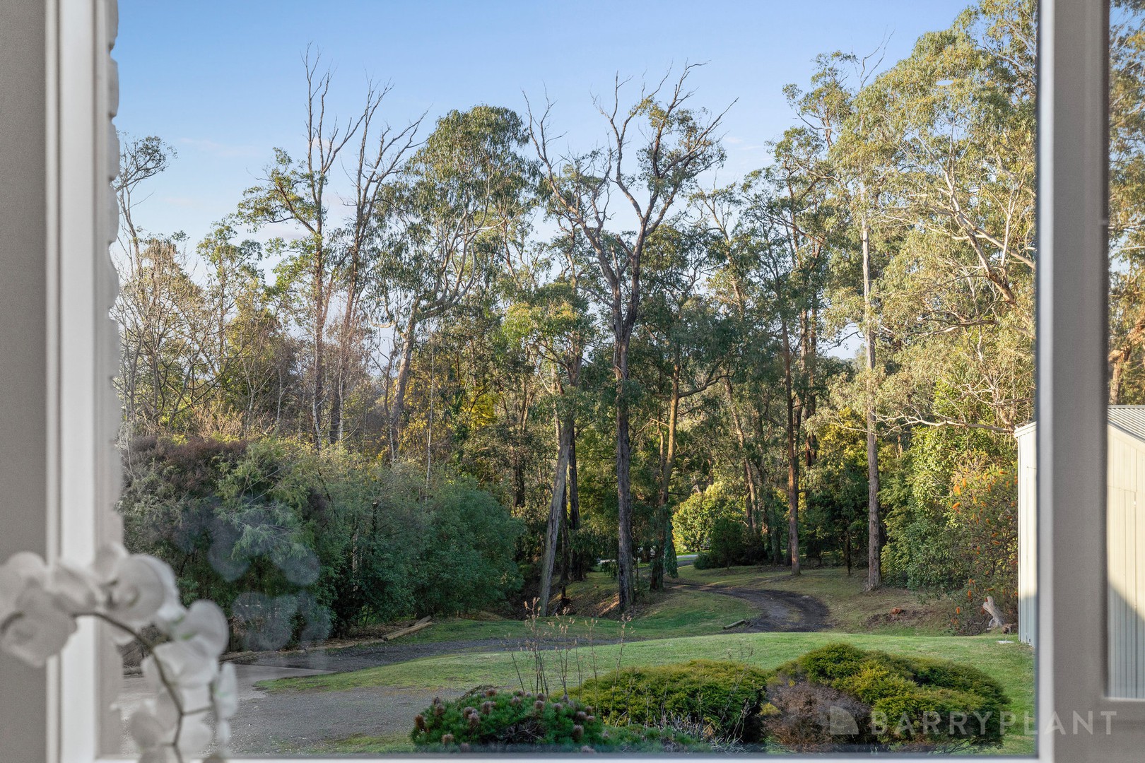 6 Naughton Street, Cockatoo, VIC 3781, Cockatoo - Thumbnail 4