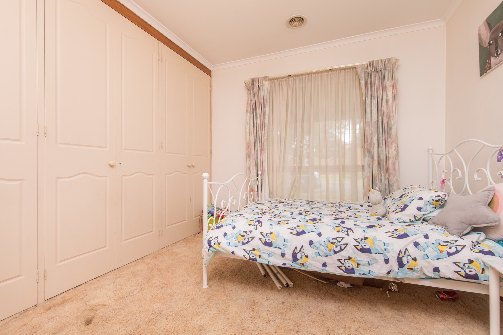 6 Patricia Drive, Mildura, VIC 3500, Mildura - Thumbnail 3