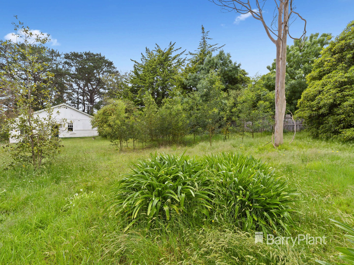 6 Rothesay Avenue, Mornington, VIC 3931, Mornington - Thumbnail 6