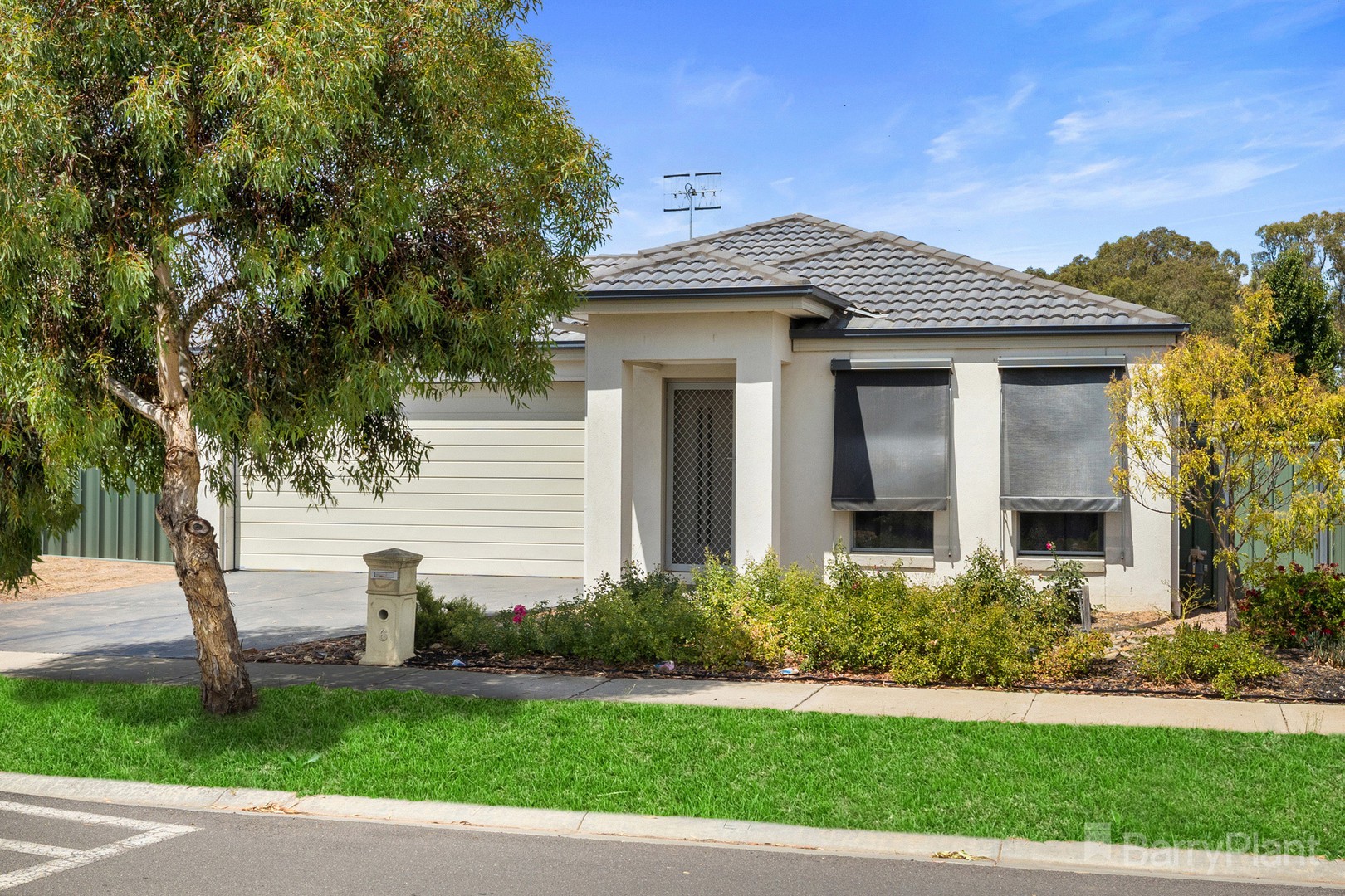 6 Triplett AvenueAscot, VIC 3551