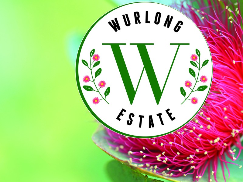 6/Wurlong Drive, Gol Gol, NSW 2738 - Image - 03/06/2025