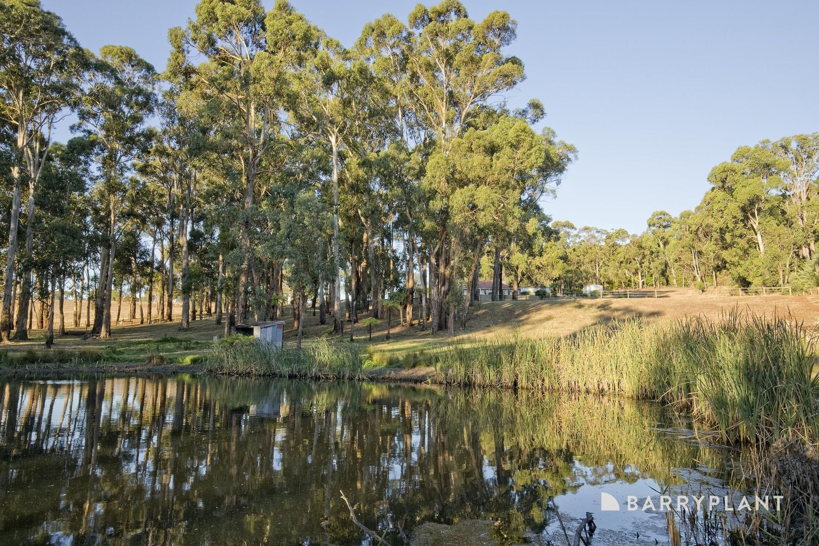60 Berry Road, Silvan, VIC 3795, Silvan - Thumbnail 4