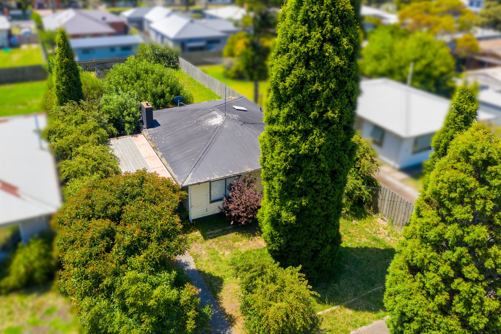 60 Wendover Avenue, Norlane, VIC 3214, Norlane - Thumbnail 6
