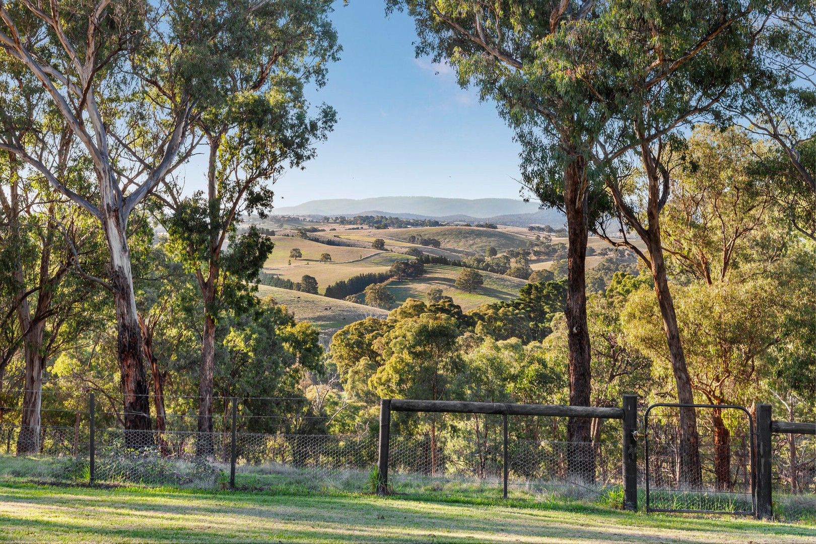 610 Hurstbridge - Arthurs Creek RoadNutfield, VIC 3099, Nutfield - Thumbnail 6