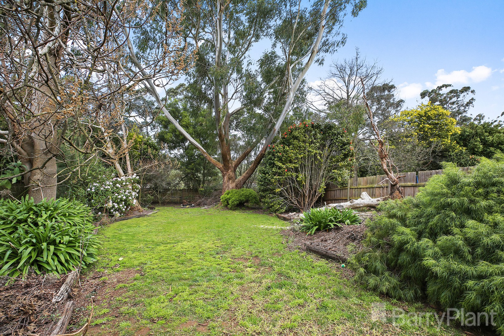 62 Longwarry Road, Drouin, VIC 3818, Drouin - Thumbnail 8