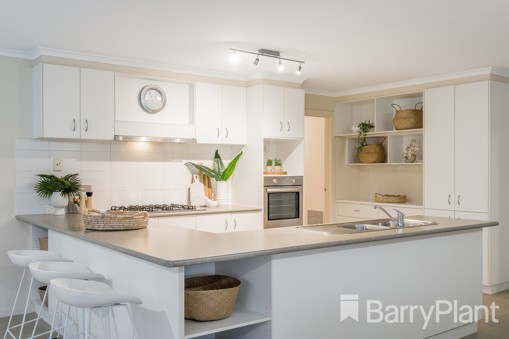 62 Sandringham ParadeNewtown, VIC 3220, Newtown - Thumbnail 5