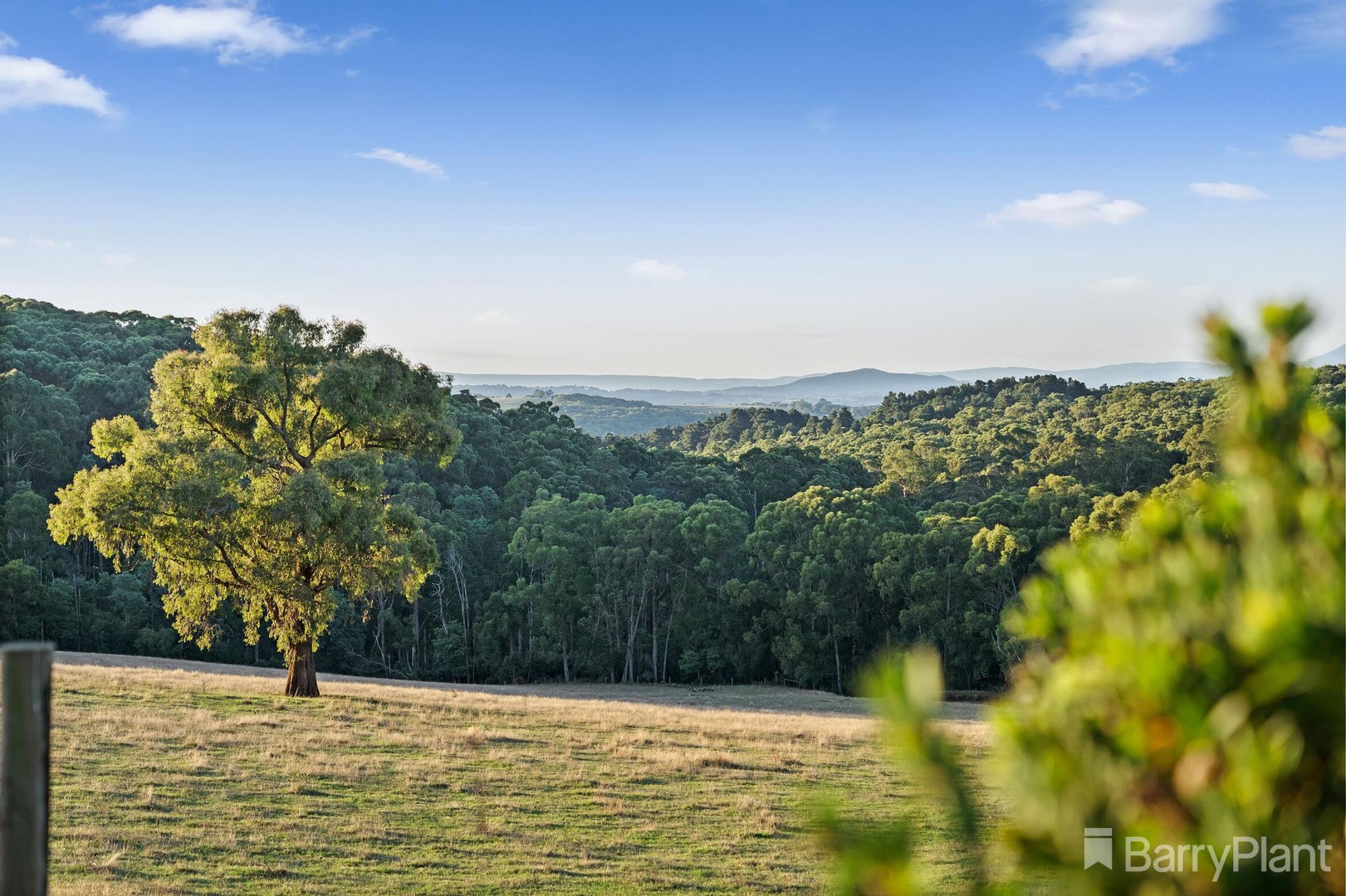 18 Lisheen Road, COCKATOO, Cockatoo - Thumbnail 3
