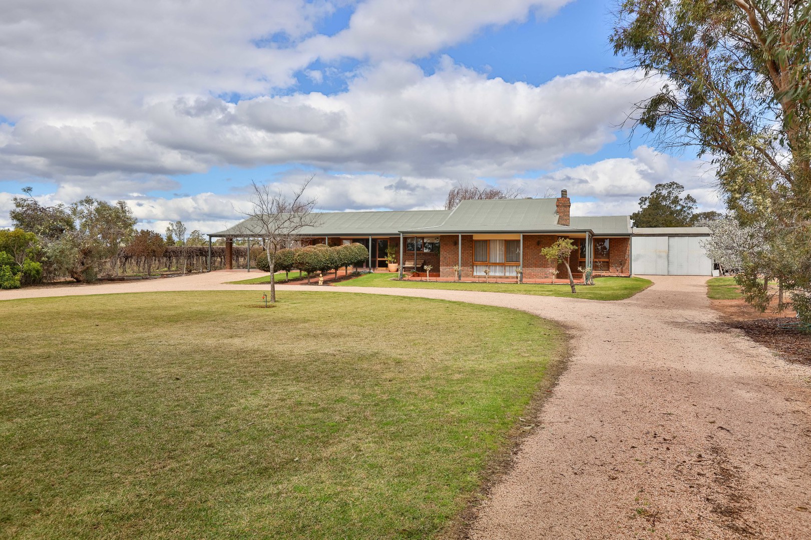 66 Cassia Street, Red Cliffs, VIC 3496, Red Cliffs - Thumbnail 5