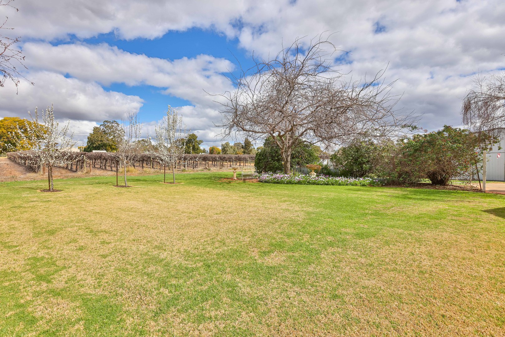 66 Cassia Street, Red Cliffs, VIC 3496, Red Cliffs - Thumbnail 8