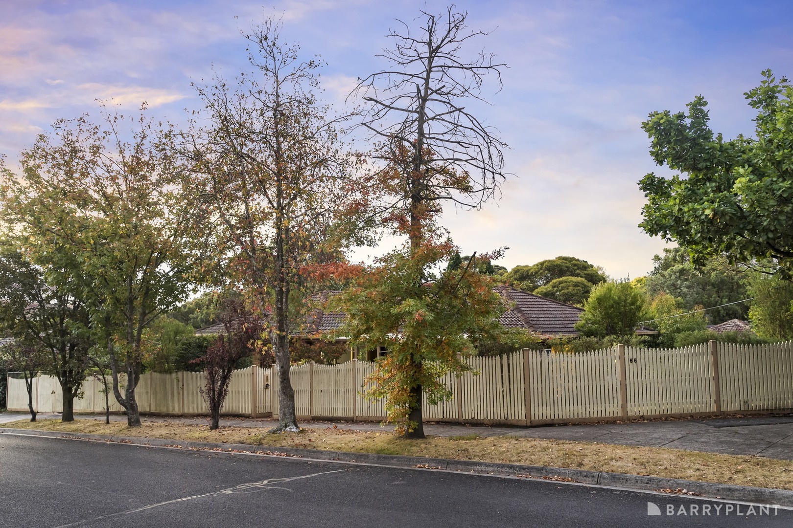 66 Waterloo Street, Heathmont, VIC 3135, Heathmont - Thumbnail 2