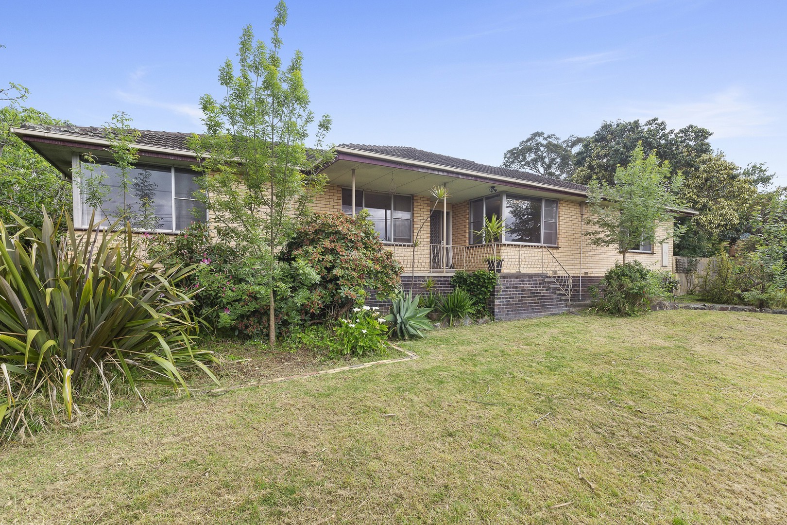 69-71 Ringwood StreetRingwood, VIC 3134, Ringwood - Thumbnail 3