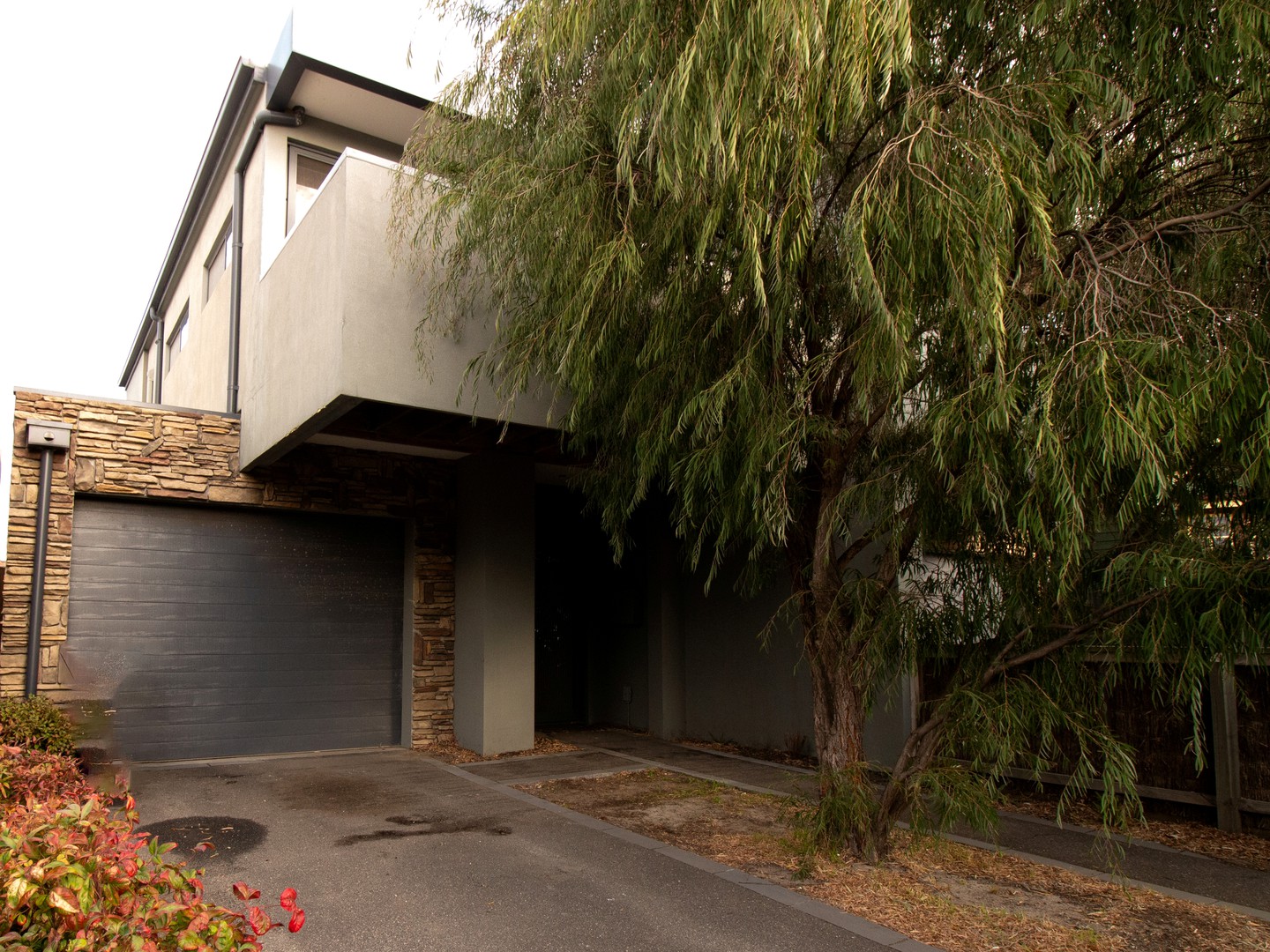 6A Showers Avenue, Chelsea, VIC 3196, Chelsea - Thumbnail 2