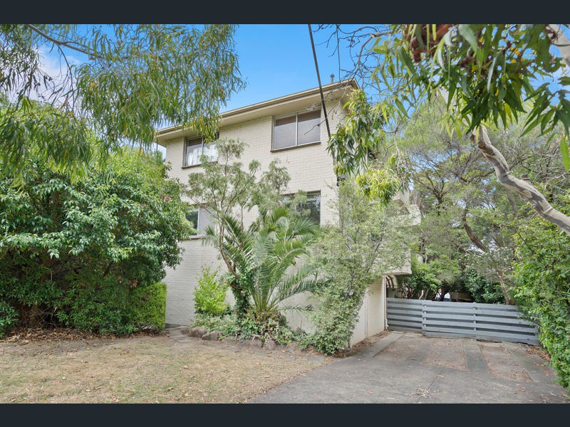 7/36 Albion Road, Box Hill, VIC 3128, Box Hill - Thumbnail 4